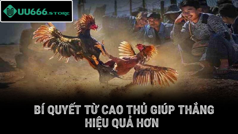 Bí quyết từ cao thủ giúp thắng hiệu quả hơn