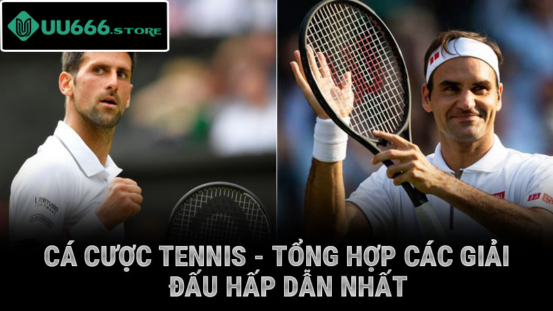 Cá Cược Tennis - Tổng hợp các giải đấu hấp dẫn nhất