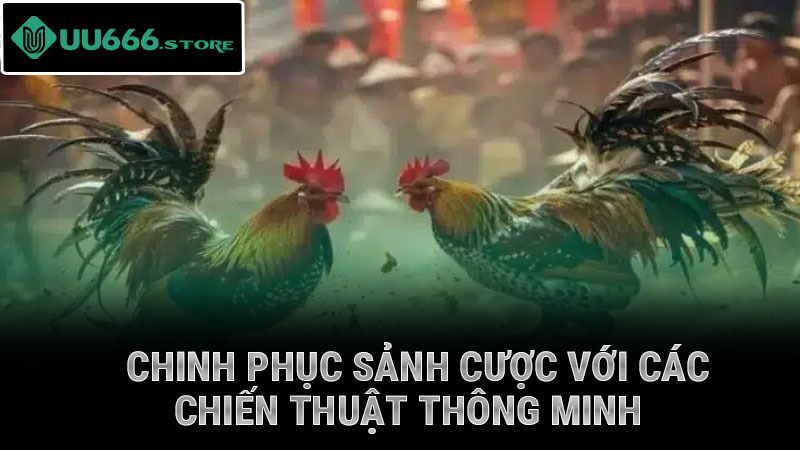 Chinh phục sảnh cược với các chiến thuật thông minh
