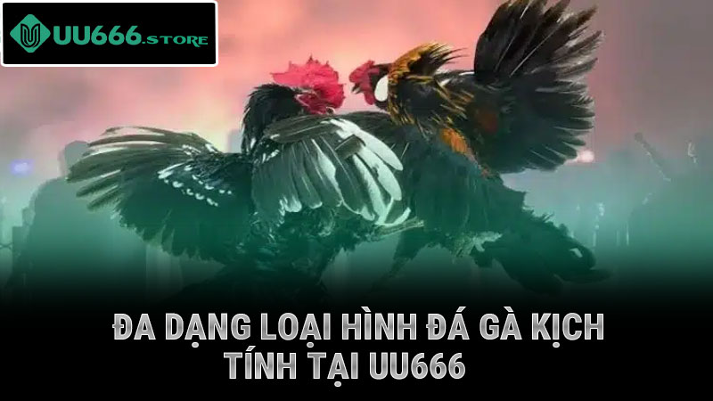Đa dạng loại hình đá gà kịch tính tại UU666