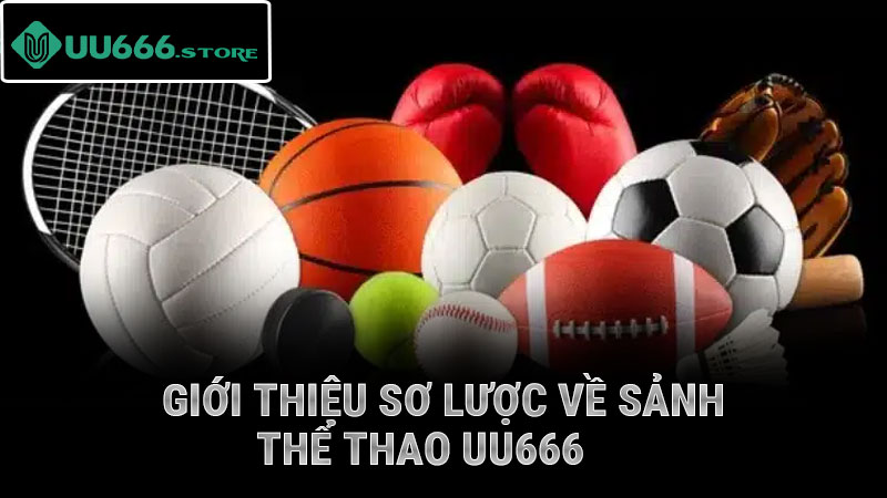 Giới thiệu sơ lược về sảnh thể thao UU66
