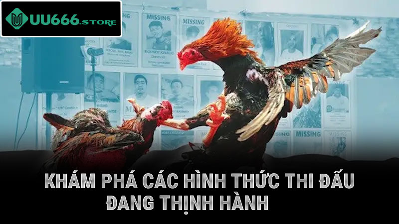 Khám phá các hình thức thi đấu đang thịnh hành