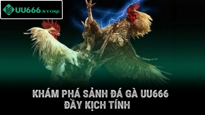 Khám phá sảnh đá gà UU88 đầy kịch tính