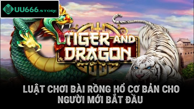 Luật chơi bài rồng hổ cơ bản cho người mới bắt đầu