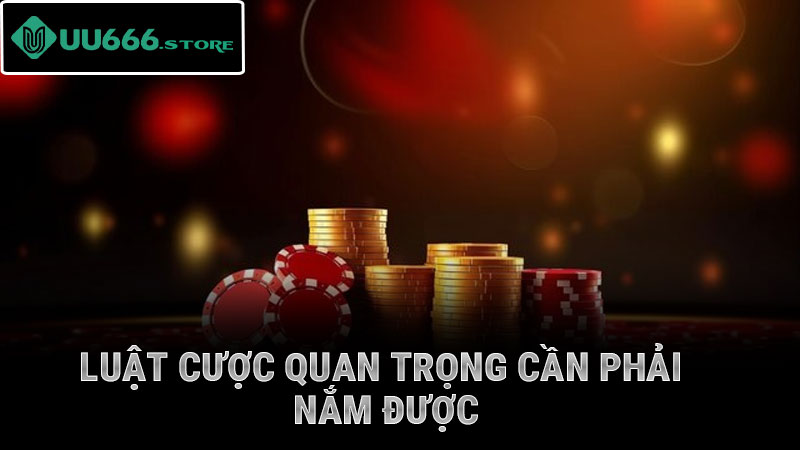 Luật cược quan trọng cần phải nắm được