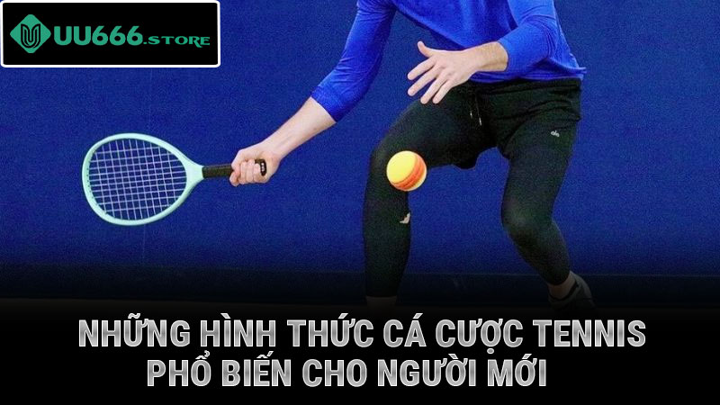 Những hình thức cá cược tennis phổ biến cho người mới