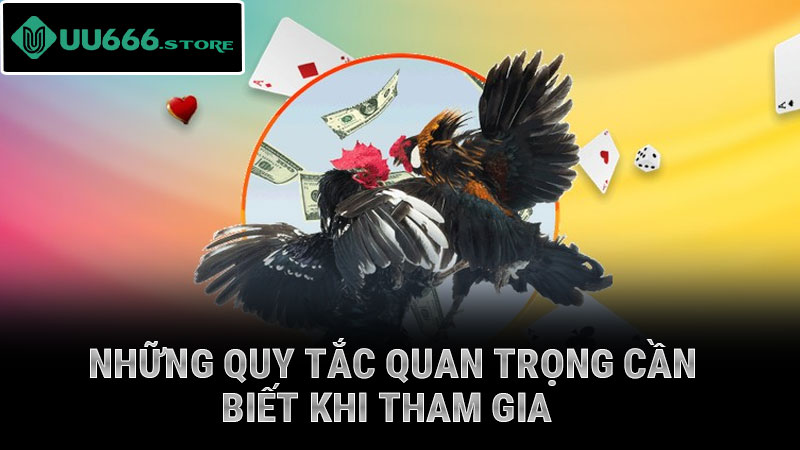 Những quy tắc quan trọng cần biết khi tham gia
